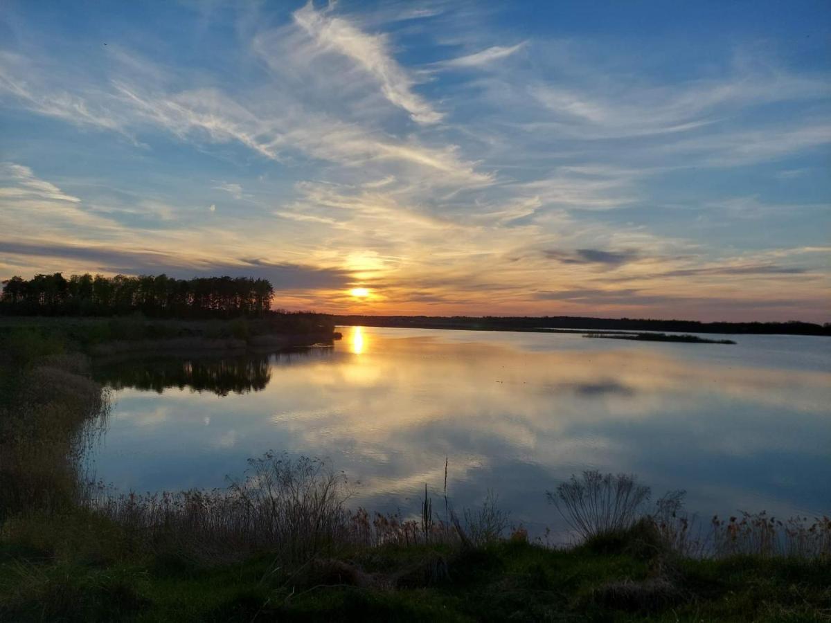 Grabska Osada Apartamenty - 100M Od Suntago Park-Domki Ogrzewane Caloroczne Mszczonow Bagian luar foto