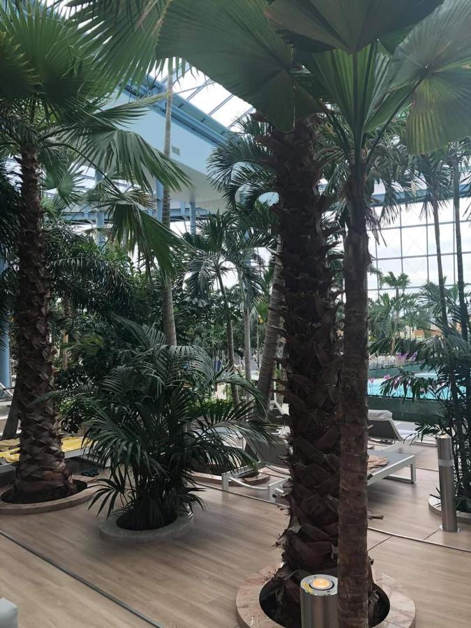 Grabska Osada Apartamenty - 100M Od Suntago Park-Domki Ogrzewane Caloroczne Mszczonow Bagian luar foto